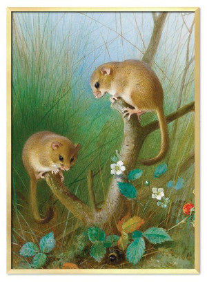 Obraz plakat na płótnie 53x73cm