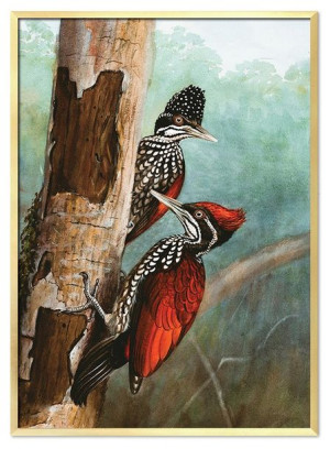 Obraz plakat na płótnie 53x73cm