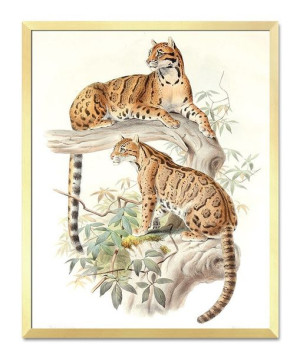 Obraz plakat na płótnie 43x53cm