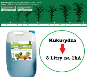Kukurydza Dolistny nawóz do zasilenia kukurydzy Agrolinija 25L 2500L