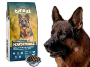 DIVINUS Dla Owczarka Niemieckiego Mięso 20kg