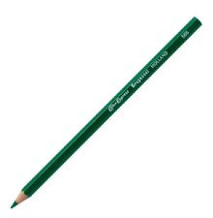Bruynzeel Color Express Super Kredka 565 MossGreen