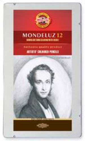 Koh i noor Mondeluz Deluxe Kredki 12kol Szary met