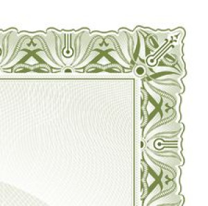 Papier na dyplomy certyfikaty CYPRYS 170g 25 szt