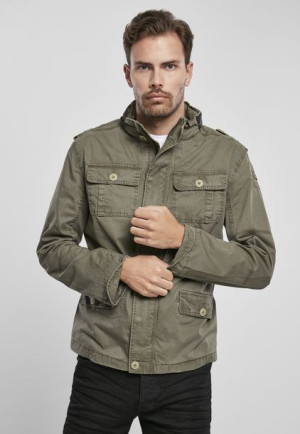 Britannia Olive
