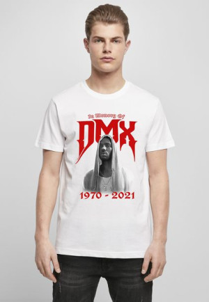 DMX Memory White