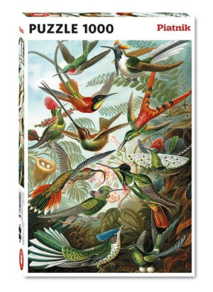 Puzzle 1000 Haeckel, Kolibry Piatnik