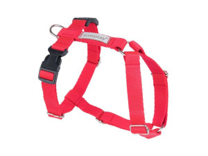Amiplay | Samba | Szelki regulowane Guard - L 35-60 50-75 x 2,5cm czerwone