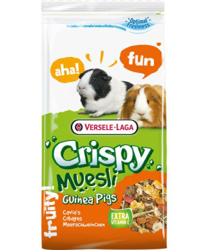 VL 461711 Crispy Museli 1kg mieszanka dla świnki