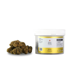 Susz Konopny Cbd Swiss Cheese 10g