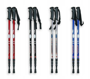 Kijki Do Chodzenia Nordic Walking Trekking 135 Cm