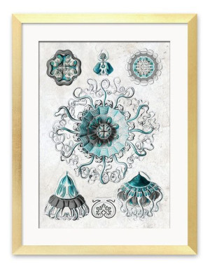 Obraz plakat morski 33x43cm
