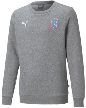 Bluza dla dzieci Puma Neymar JR Creativity szara 605563 06