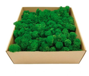 OK Mech Chrobotek Alpejski Premium 500g zielony
