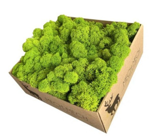 OK Mech chrobotek premium fiński oczyszczony  500g