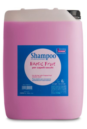 Technique Basic Shampoo Extotic Fruit 10000ml