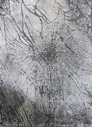 Dywan Marvel 7604 Grey 200x290