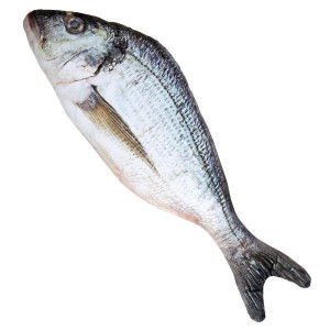 Sztuczna Ryba Rybny Rekwizyt 55 Cm Druk 3d