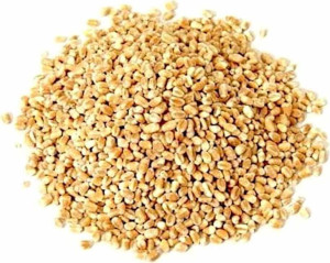 Kasza Jęczmienna Bio (surowiec) (25 Kg)