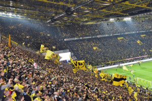 Fototapeta piłka nożna Borussia Dortmund II - 2 x 1,5 m - lateksowa