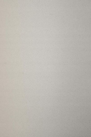 [ MC.19 ] Papier ozdobny Tintoretto 250g Cumino szary 10A4 / al *   Papier