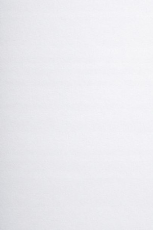 [ MB.17 ] Papier karton ozdobny gładki Arena 450g biały 10A4 / al *   Papie