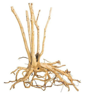 Progrow Fine Wood Stump 1kg