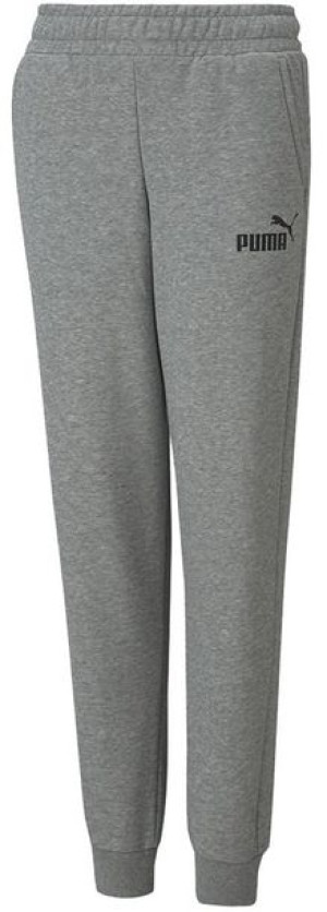 Spodnie dla dzieci Puma ESS Logo Pants TR szare 586974 03