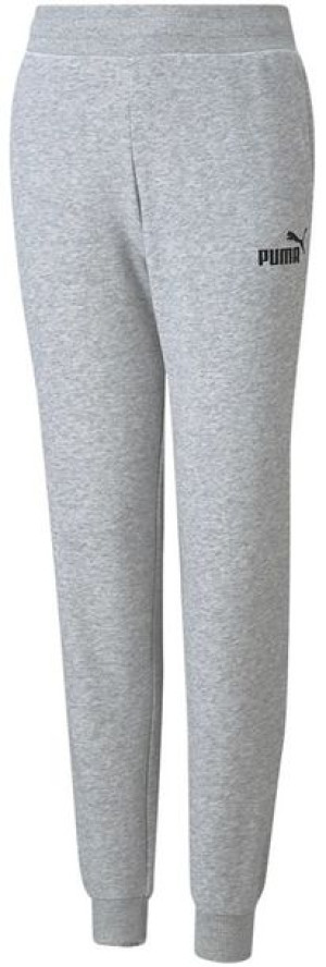Spodnie dla dzieci Puma ESS Sweatpants TR szare 587037 04