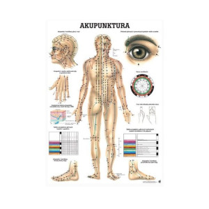 Plansza anatomiczna - akupunktura | 100 x 70 cm