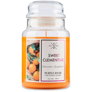 Purple River sojowa naturalna świeca zapachowa w szkle 22 oz 623 g - Sweet