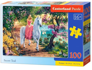 Puzzle 100 Secret Trail Castor