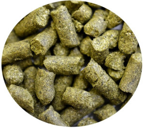 aromatyczny chmiel LUBELSKI 500g PL 2020