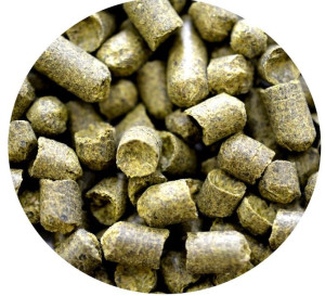 Chmiel NUGGET 500g  goryczkowy 2020