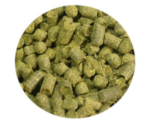 chmiel FUGGLES UK aromatyczny 50g