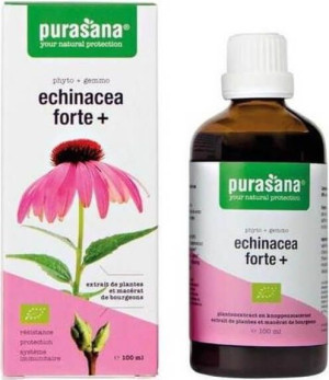 Echinacea Forte (jeżówka Purpurowa) Krople Bio 50 Ml - Purasana