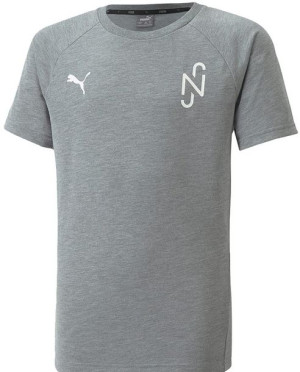 Koszulka dla dzieci Puma Neymar Jr Evostripe Tee Medi szara 605630 05