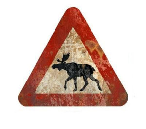 Szyld metalowy Moose