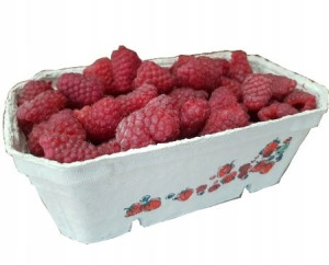 Pojemniki Na Maliny Owoce Pulpa 500g 100szt