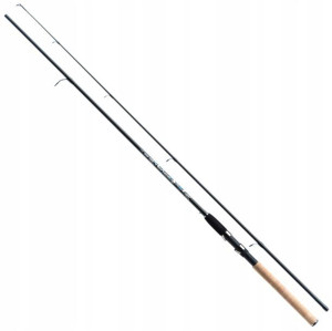 Wędka Spinningowa Jaxon Tenesa 2,70 5-25g