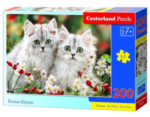 Puzzle 200 Persian Kittens Castor