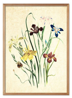 Obraz plakat na płótnie 53x73cm