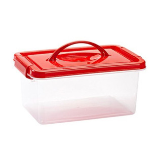 Pojemnik z rączką i pokrywką Plastic Forte 4 l