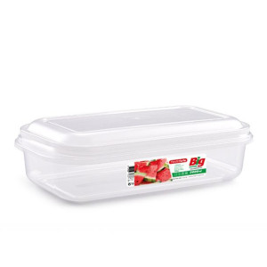 Pojemnik do przechowywania Plastic Forte Big 2 l