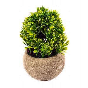 OZDOBNA ROŚLINA W DONICZCE mini krzaczek 16CM