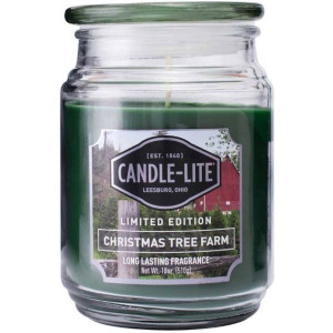Candle-lite Everyday duża świeca zapachowa w szklanym słoju 18 oz 510 g - C
