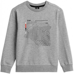 Longsleeve Dziecięcy 4f Hjz21-jtsml003a Szary