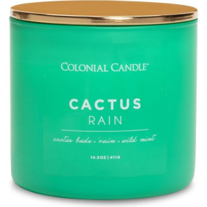 Colonial Candle - Cactus Rain - sojowa świeca zapachowa w szkle z 3 knotami