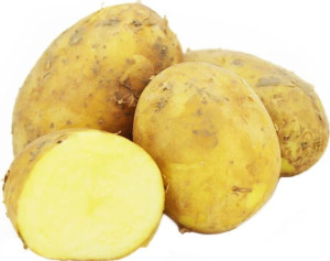 Opakowanie Zbiorcze (kg) - Ziemniaki Żółte Świeże Bio (polska) (około 10 Kg