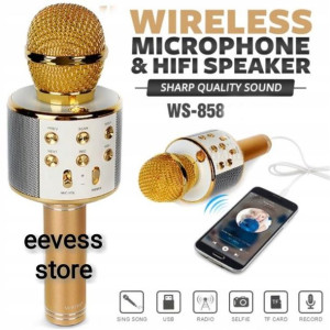 Bezprzewodowy mikrofon karaoke WS858 4 kolory Wwa